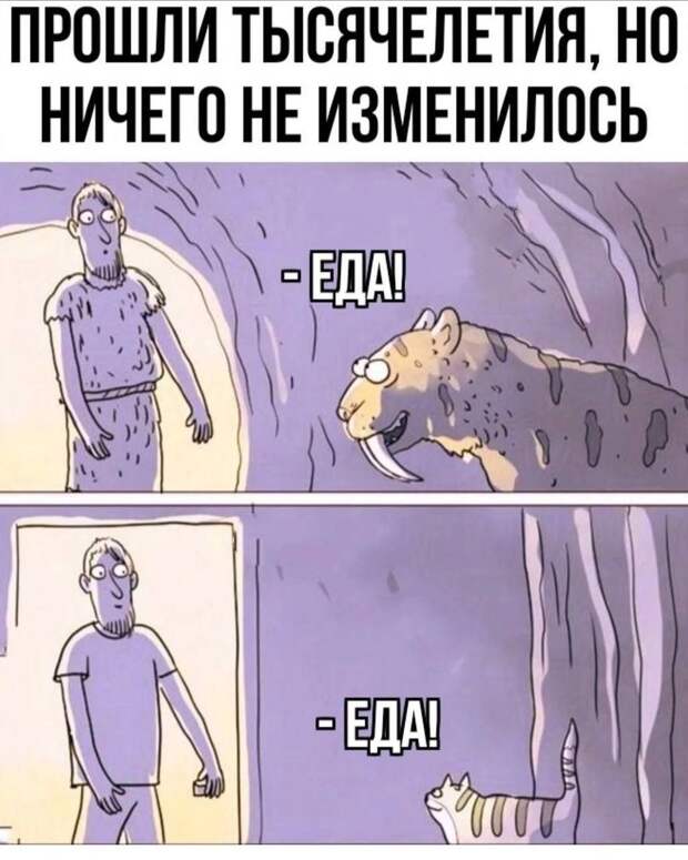 @psychology_funny  #юмор #смешное #приколы