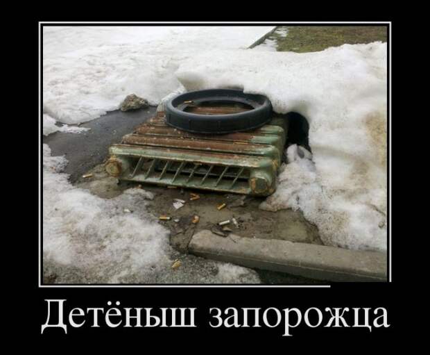 Прикольная коллекция демотивационных приколову Прикольная коллекция демотивационных приколову