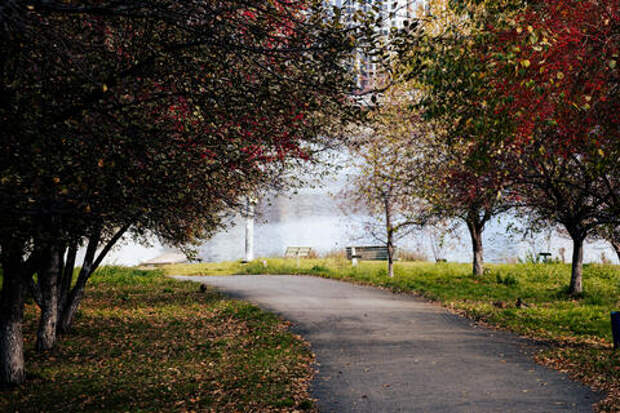 Регион преображается: в 2026 году на Кубани приведут в порядок 124 общественных пространства - парки, скверы и набережные