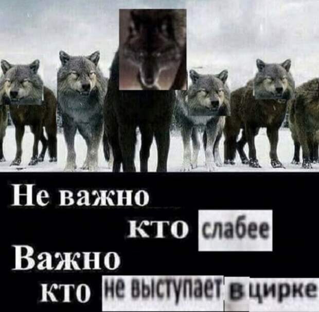 www.vsyako.net
