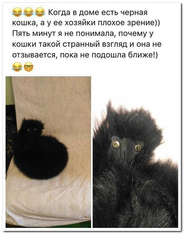 Лучшие комментарии прошедшей недели