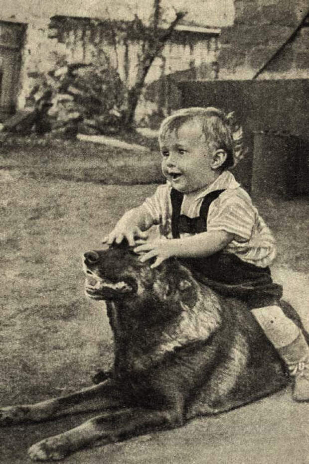 Молодая Гвардия