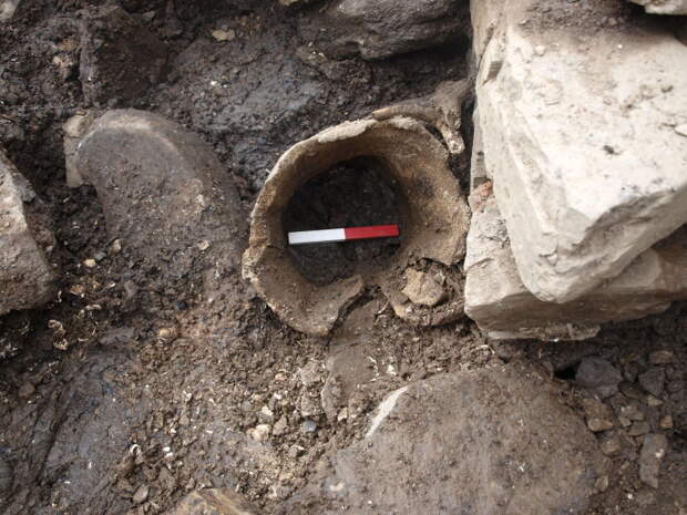 Находки на территории Оркнейских островов. \ Фото: archaeologyorkney.com. Находки на территории Оркнейских островов. \ Фото: archaeologyorkney.com.