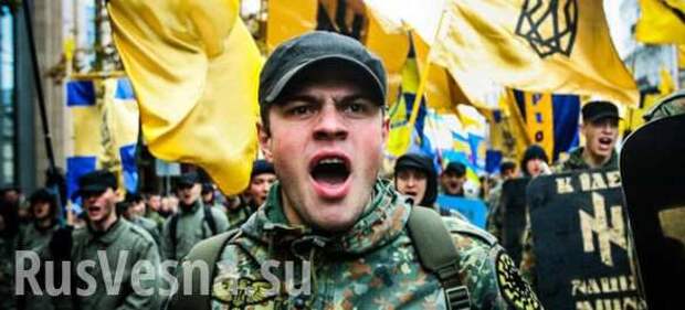 Насилие, страх и кровавая война: Жизнь, которую предлагает Украина (ВИДЕО)  | Русская весна