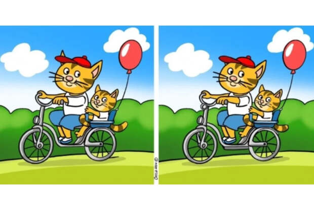 Найди 7 отличий за 30 секунд: проверка внимательности