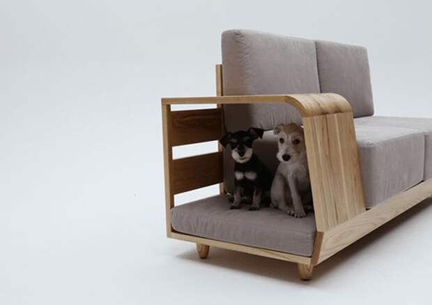 dog_house_sofa