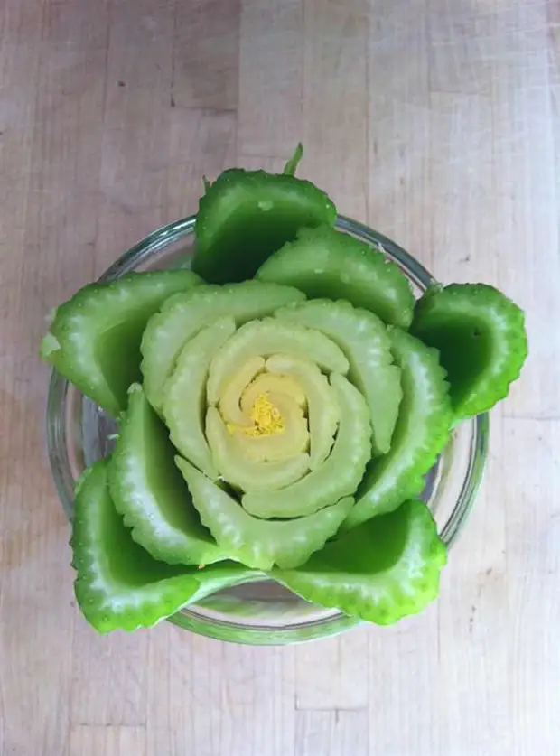 telina-plante