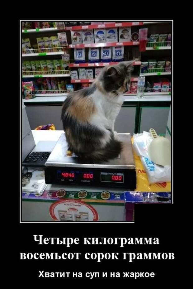 Демотиваторы (20 фото)