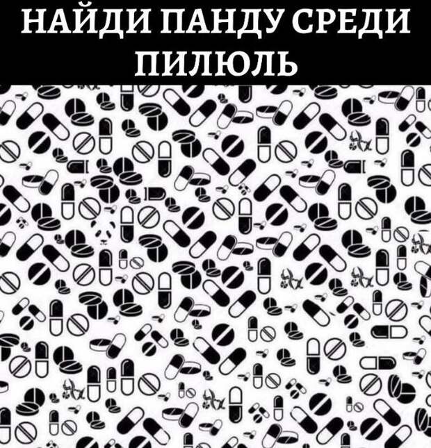 А вам удалось ее найти? Где спряталась панда?