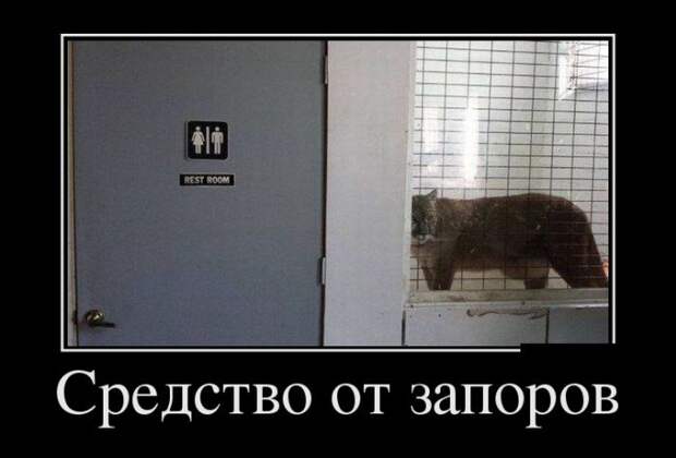 Демотиваторы (30 фото)