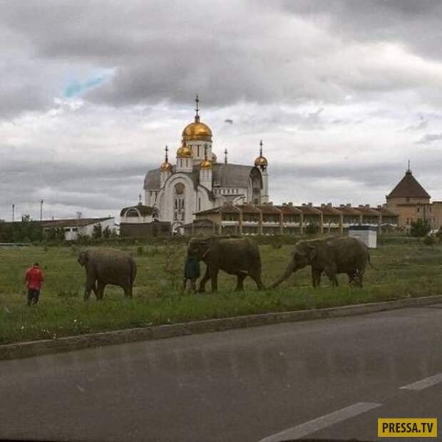 Многообразие России: прикольные фото, передающие особую атмосферу нашей родины! (18 фото)