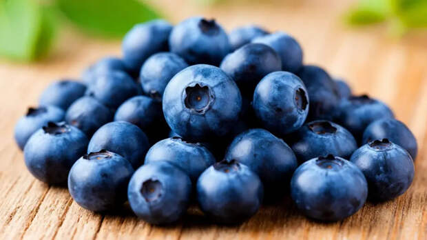 Черника помогает мозгу формировать новые связи и замедляет накопление амилоидных бляшек: что говорит невролог