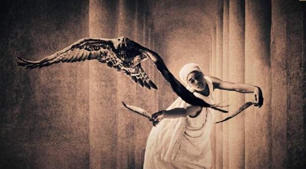 Люди и животные