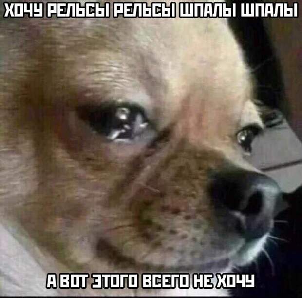 Прикольные картинки абавсём:D