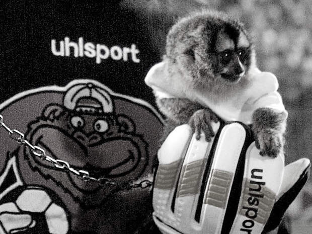 Легенда о черной повязке или как советский футболист убил обезьяну вратаря Вратарь, обезьяна, футбол