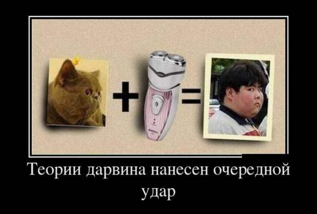 Демотиваторы (30 фото)