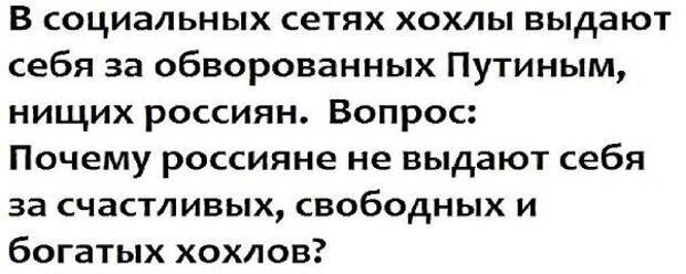 Политические комментарии из инета