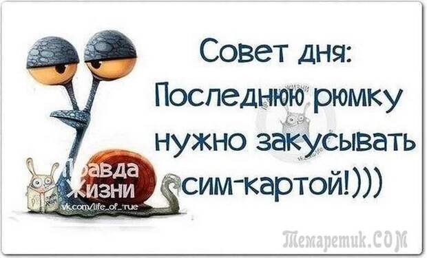 Смешные открытки с философские уклоном