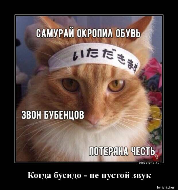 Когда бусидо - не пустой звук демотиватор, демотиваторы, жизненно, картинки, подборка, прикол, смех, юмор