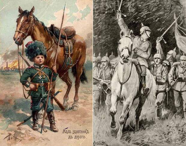 Галерея животных, втянутых людьми в мировую бойню Галерея животных, втянутых людьми в мировую бойню факты, мировая война, животные