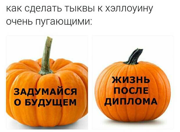 dzEbxPVnyj4
