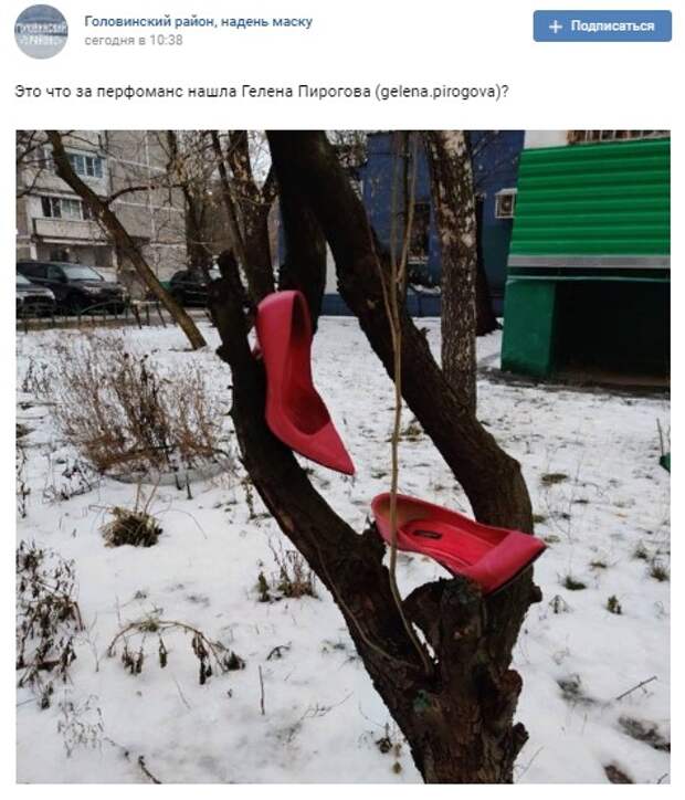 Фото дня: модный перформанс на дворовом дереве