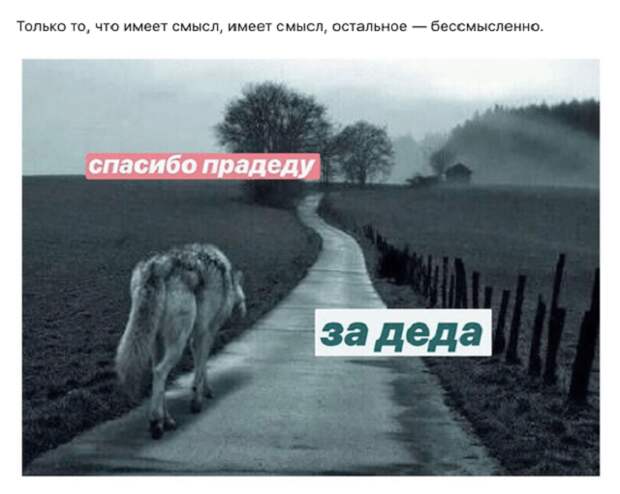 www.vsyako.net