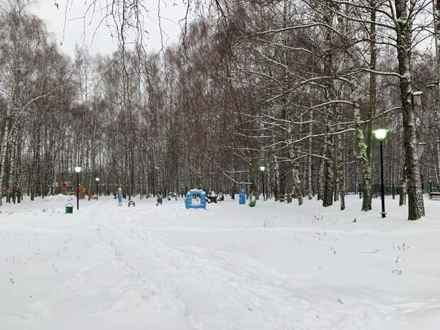 В старом парке Венёва обнаружено сильное радиоактивное излучение