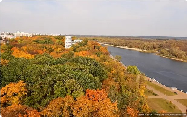ВЫ ЗНАЕТЕ, Я В ИЗРАИЛЕ БЫСТРО УМРУ
