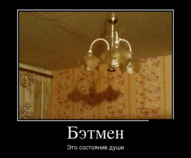 Демотиваторы 19.11.13
