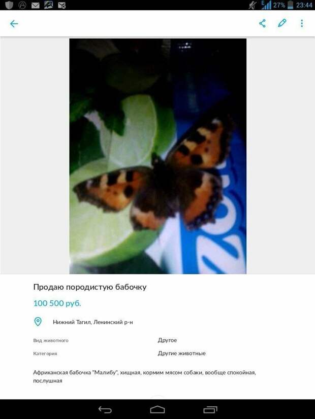 Серьезные объявления от самых деловых людей страны Серьезные объявления от самых деловых людей страны