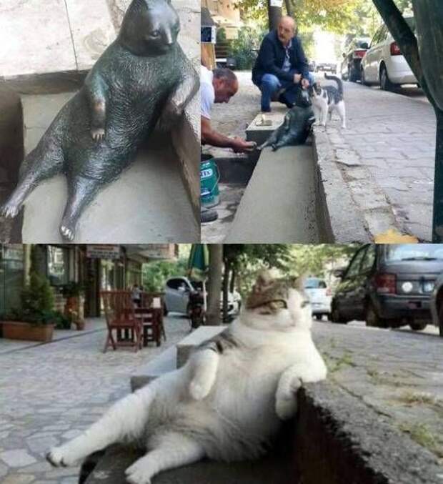 1475654540_58