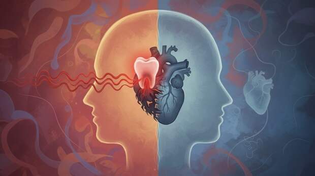 Врач Рогачёв: странная зубная боль может предвещать инфаркт