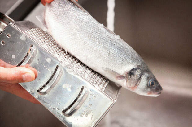 Многие на самой острой и мелкой стороне терки измельчают чеснок или очищают ей рыбную чешую / Фото: yandex.ru