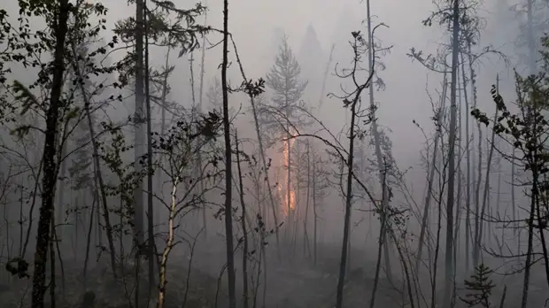 В Волгоградской области ввели особый противопожарный режим