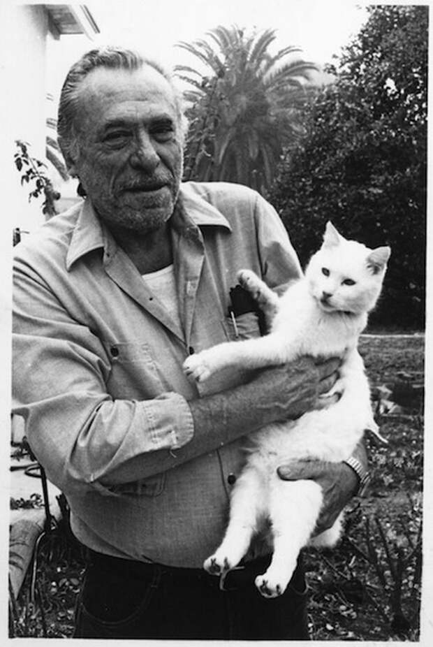 Charles bukowski | Gatos, Amantes de los gatos y Imagenes de animales