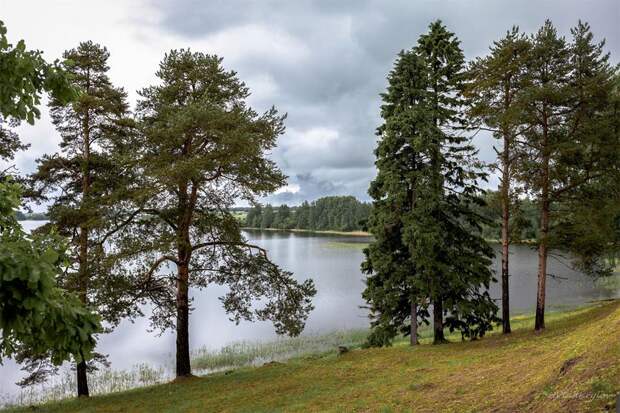 Природа России 105