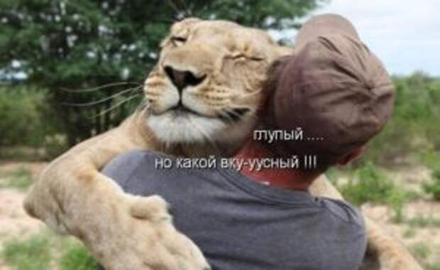 Фотоприколы с надписями