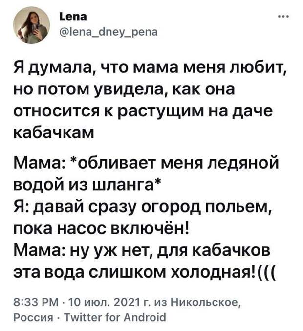 15 шуток о кабачках и их владельцах 15 шуток о кабачках и их владельцах