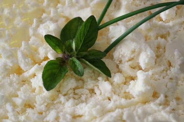 В Петербурге нашли кишечную палочку в твороге перед Пасхой