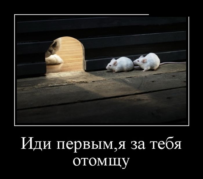 1473963587_13