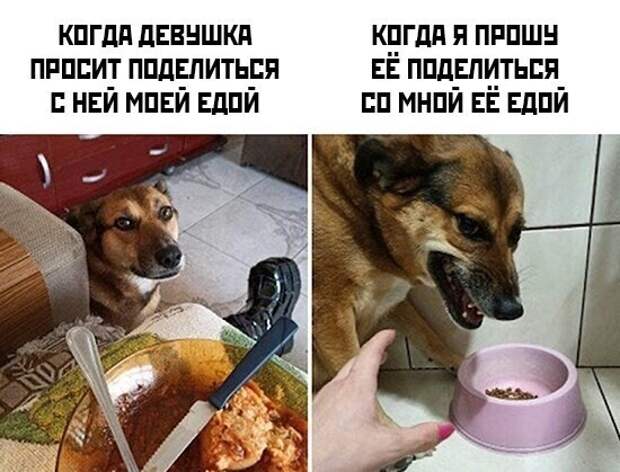 Все девушки разные, но есть несколько вещей, которые их объединяют Все девушки разные, но есть несколько вещей, которые их объединяют