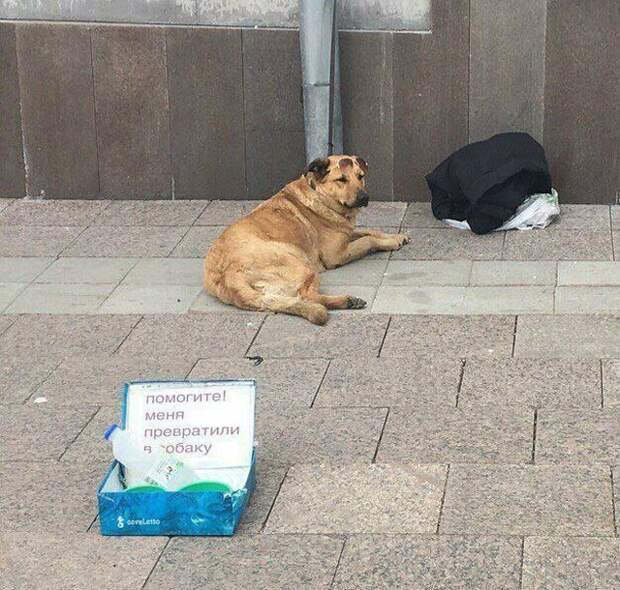 Подборка прикольных фото