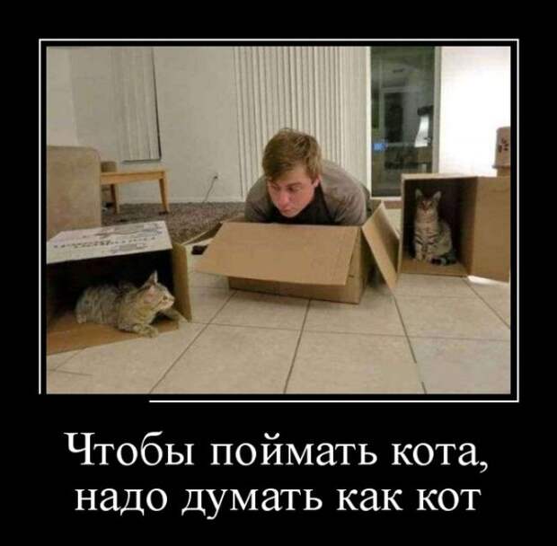 Демотиваторы Демотиваторы