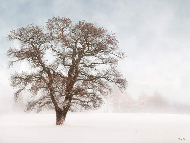 frank_melech_artworks