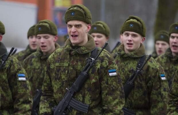 «Мы перенесем войну в Россию»: Эстонский министр пообещал то, чего не сможет никогда