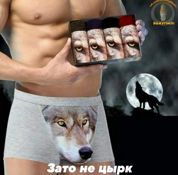 www.vsyako.net