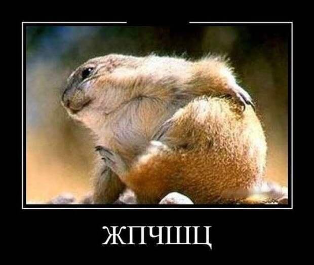 Демотиваторы (30 фото)