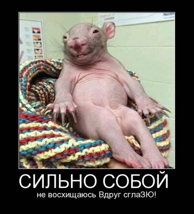 Демотиваторы демотиваторы, юмор