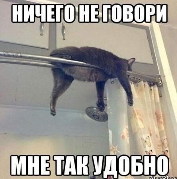 Картинки со смешными подписями